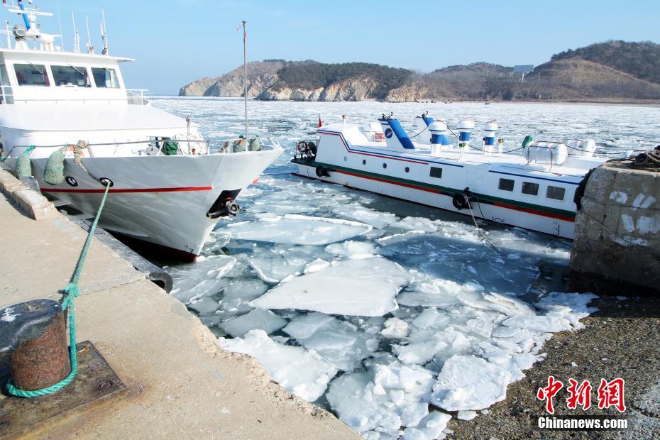 遼寧大連黃海海域出現大面積海冰