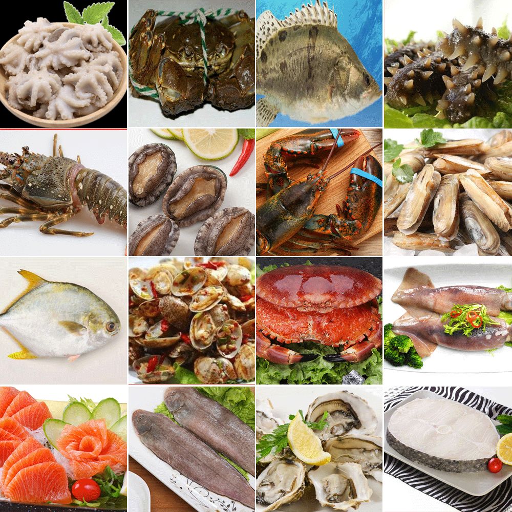 海鲜品种大全图片