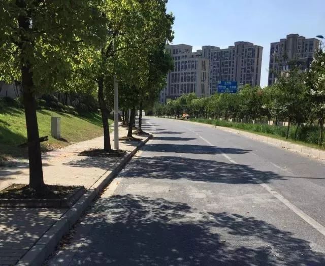 社會 正文 芳林路(芳智路-陳翔路,博翔路-浩翔路) 道路及管道養護大修