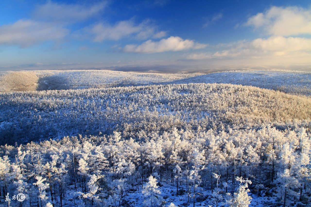 北国雪景图图片