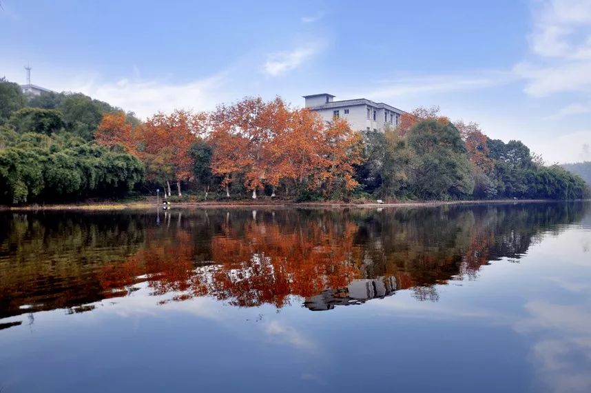重庆文理学院星湖校区图片