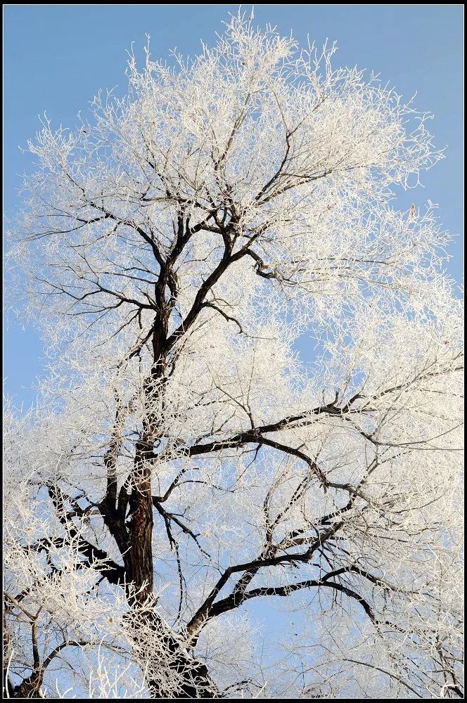 下雪啦喊你來山莊看美景