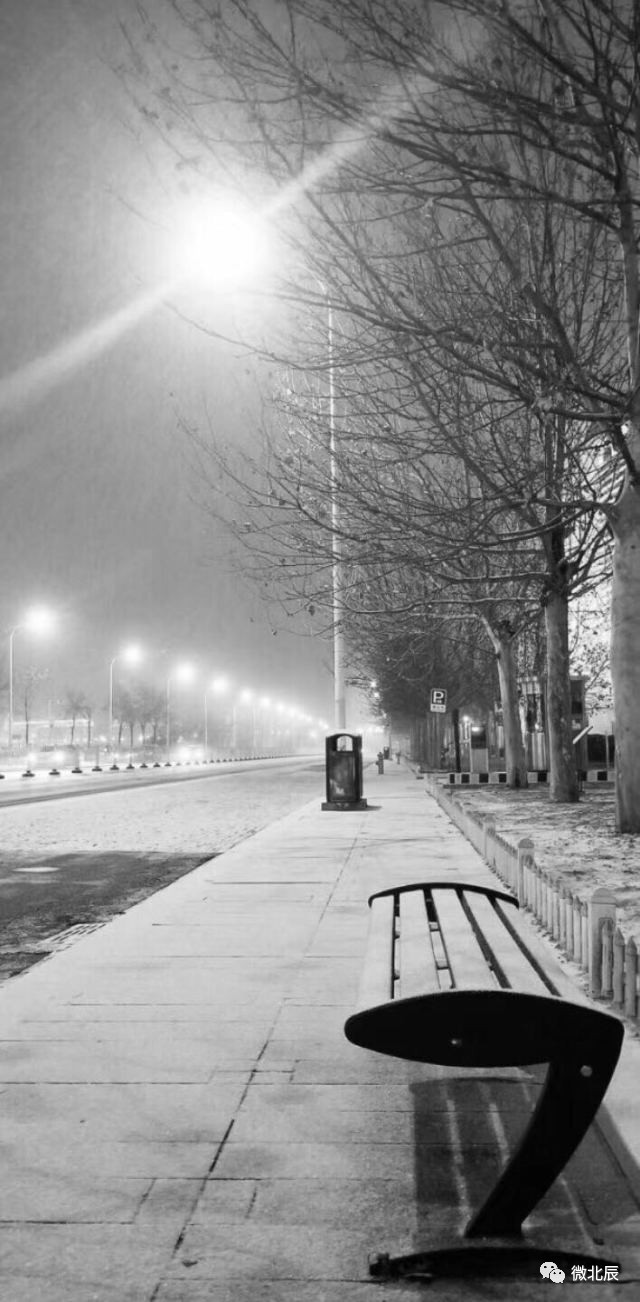 悲伤的雪景图片