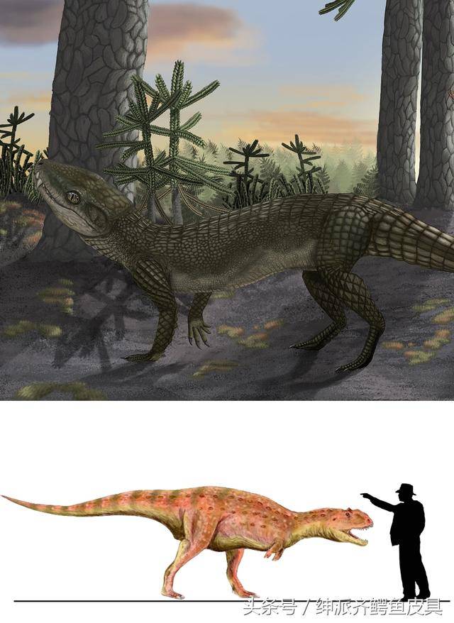 鳄鱼的祖先进化图图片