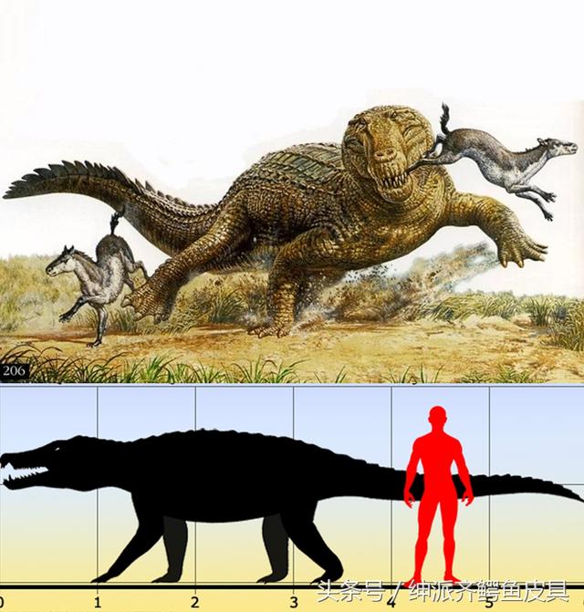 36种史前鳄鱼图片