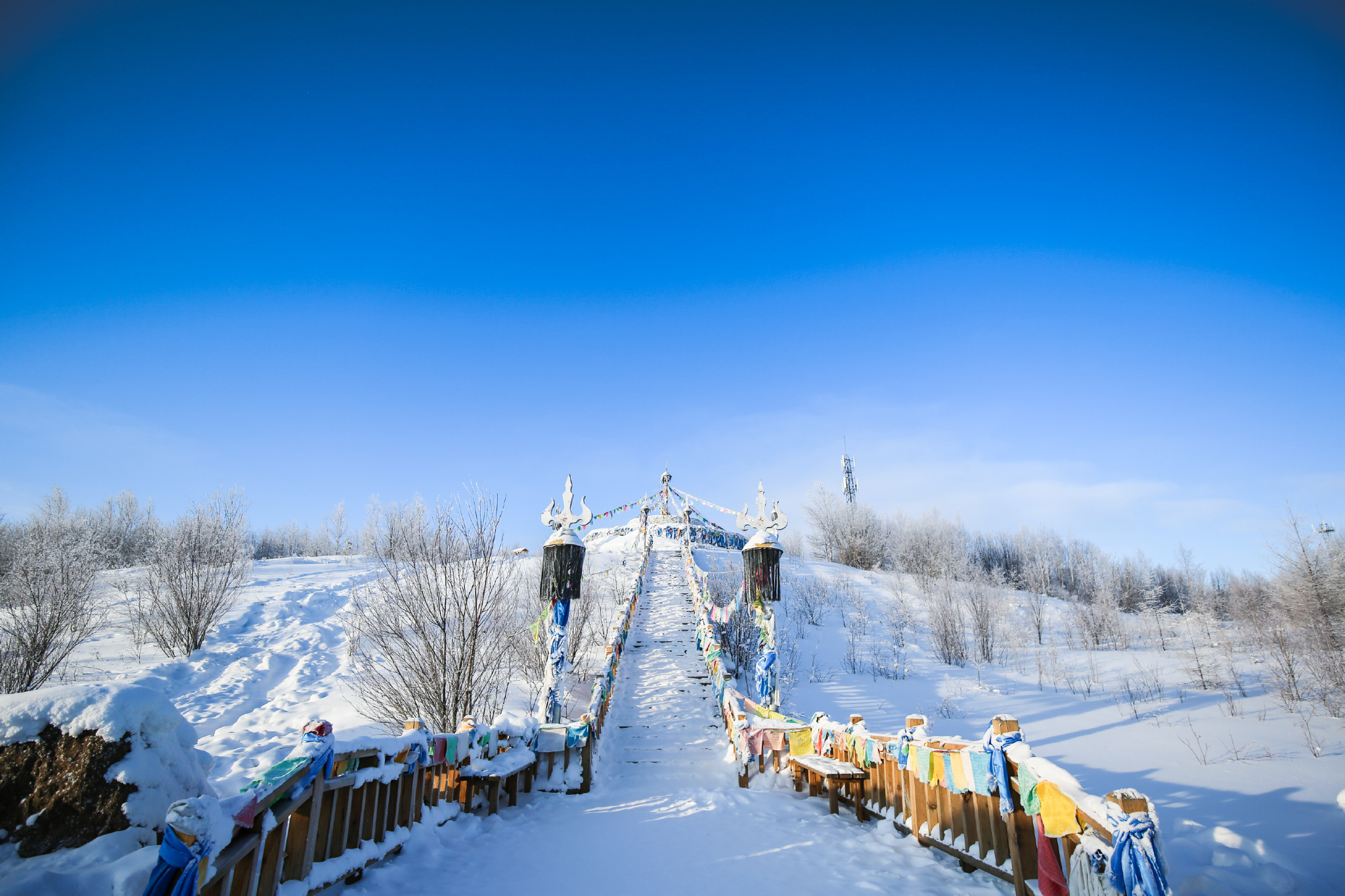 东北雪景图片大全风景图片