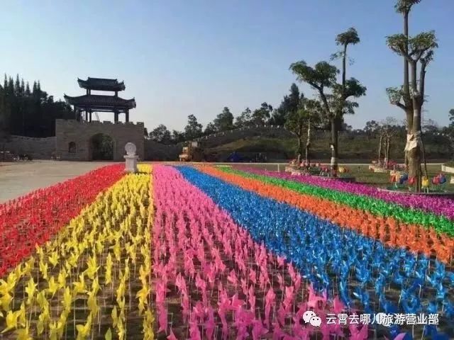 下河楊桃節等你來狂歡雲霄下河楊桃節採摘東山中馳山莊古堡花海馬鑾灣