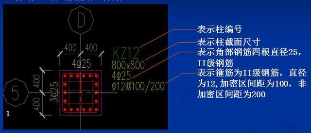 cad怎么画钢筋布置图图片