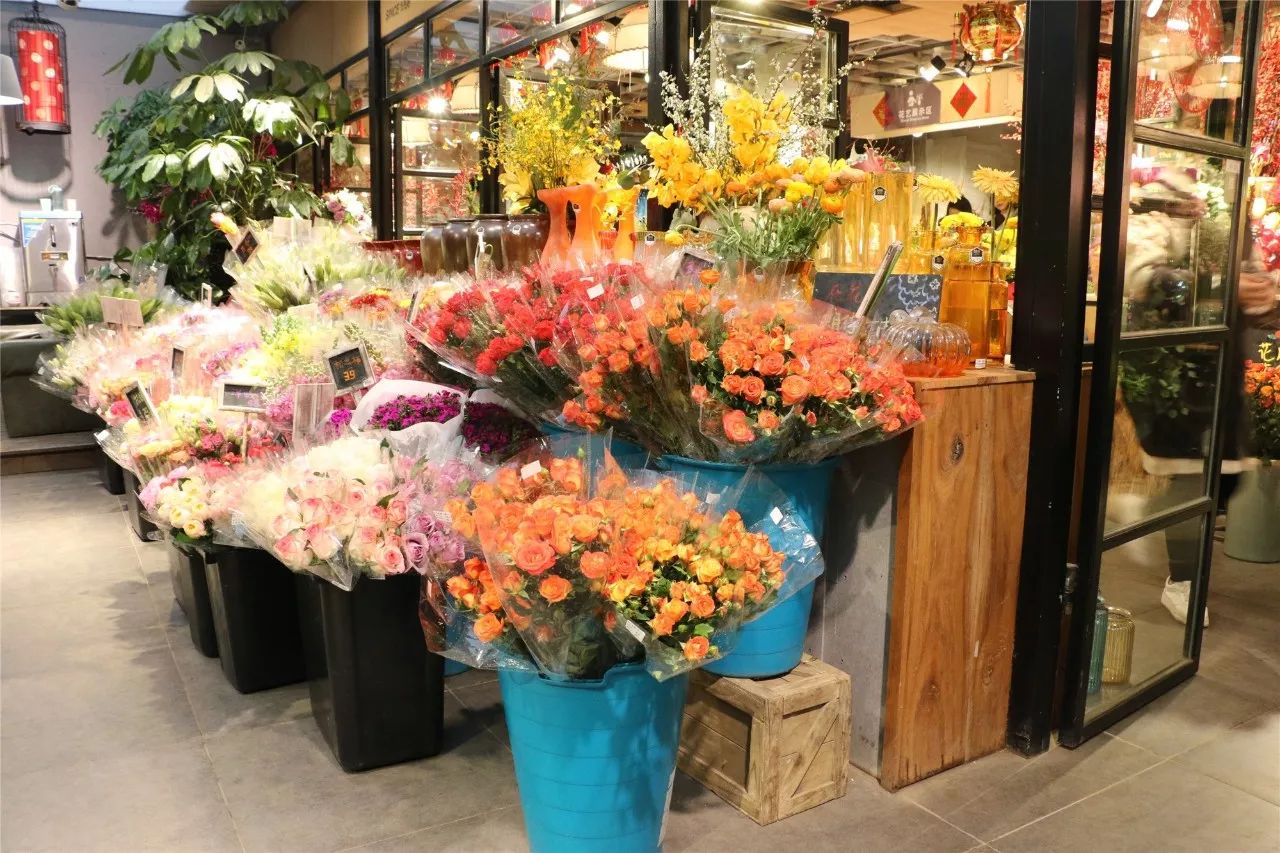 我在三湘花卉市场逛了59家店,找出这9家安利给你,春节给家添花样.