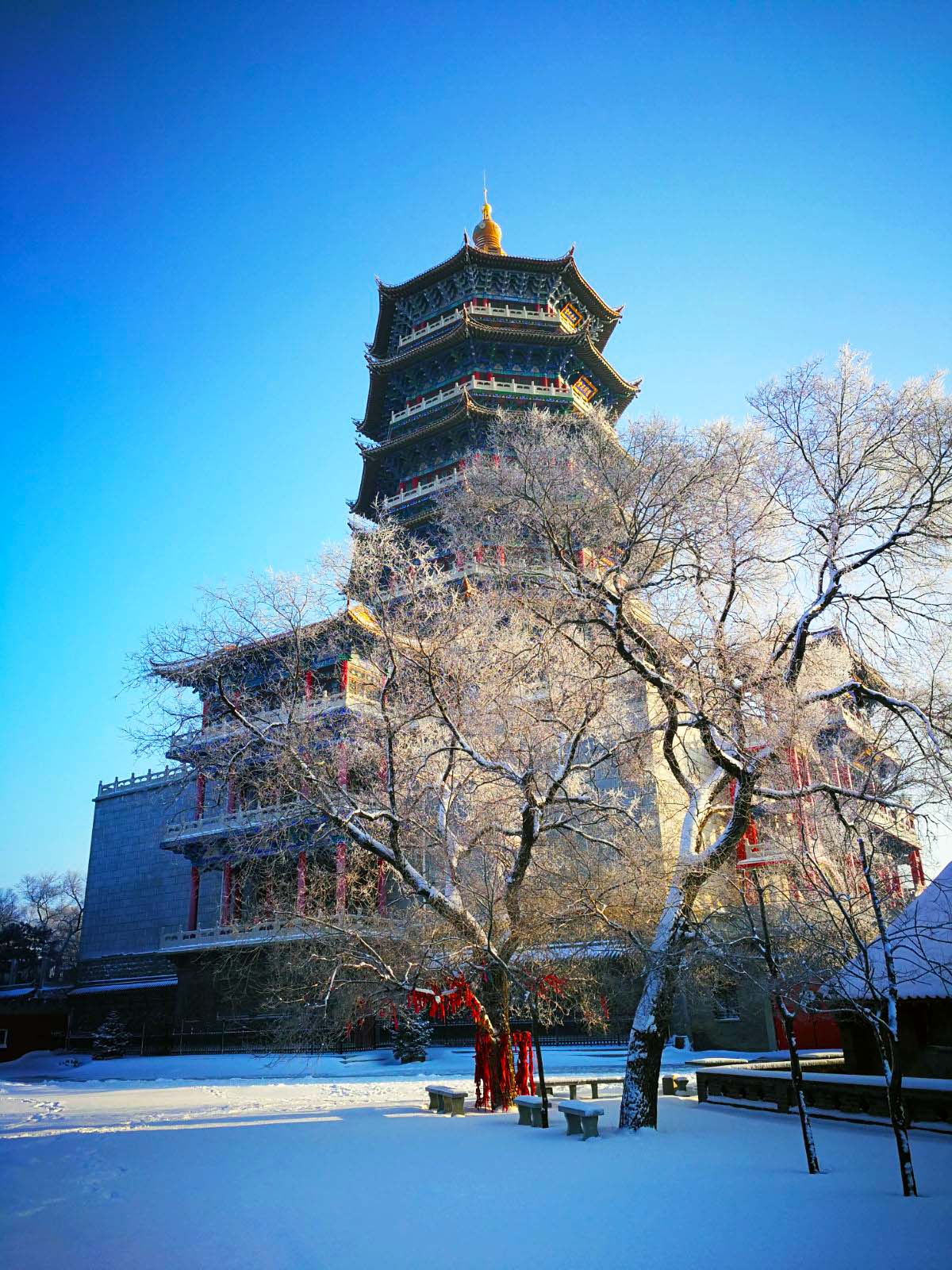 龙首山多高图片