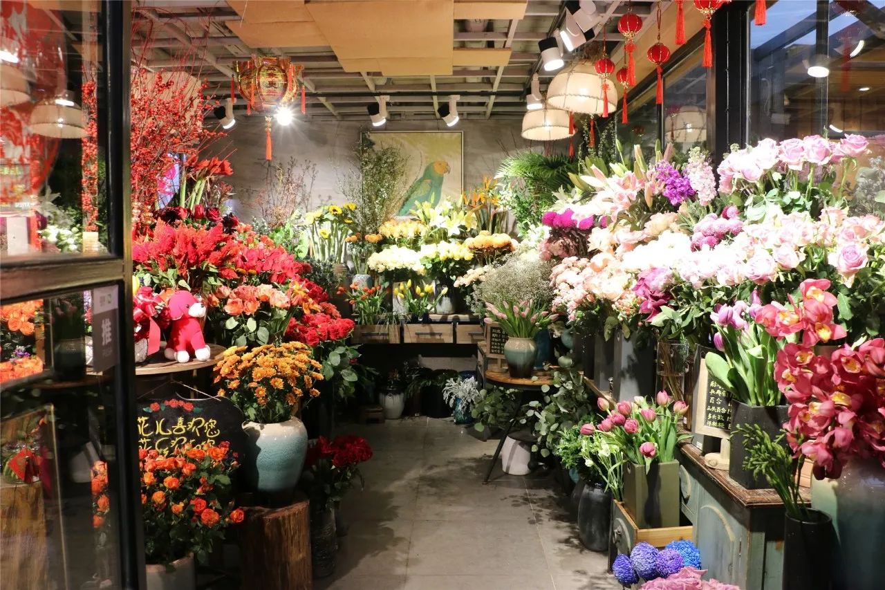我在三湘花卉市场逛了59家店,找出这9家安利给你,春节给家添花样.
