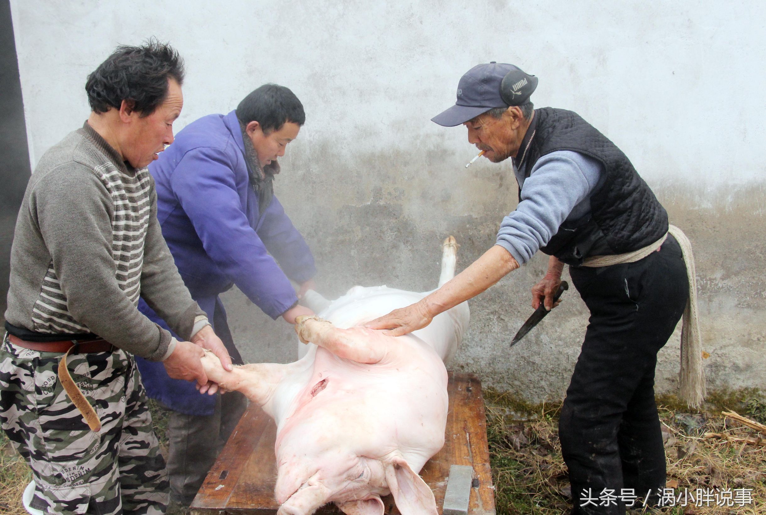 安徽农村杀猪过年,七旬老人40年免费为乡邻杀过年猪百余头