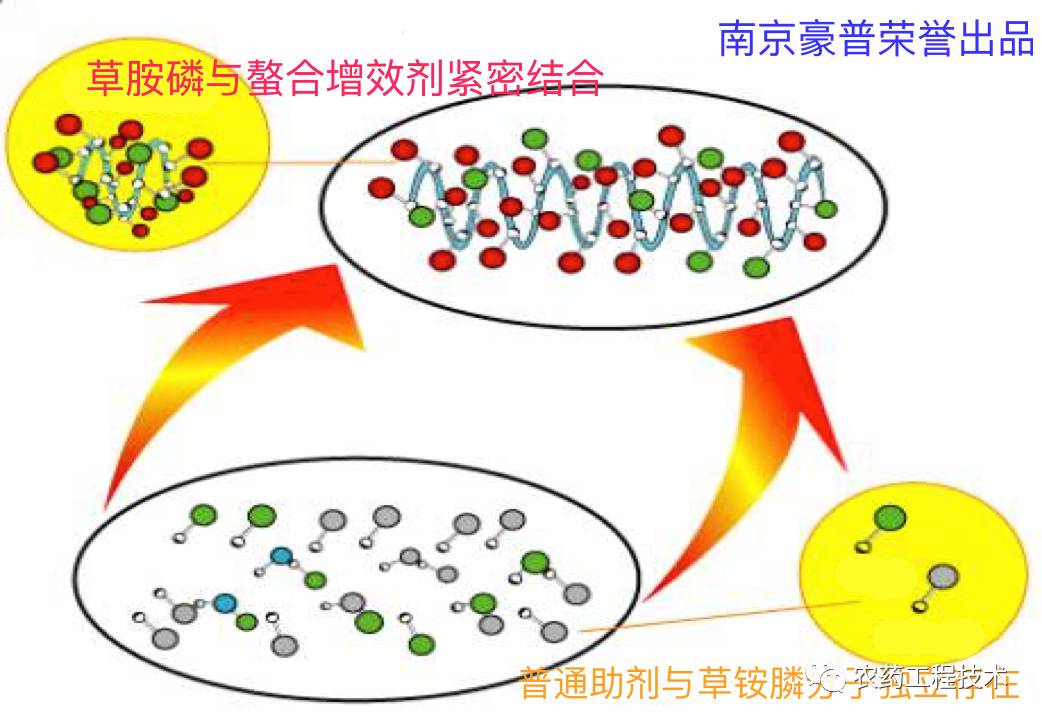 除了吡唑醚菌酯有晶型專利,有一個熱門產品丙硫菌唑的晶型還不能碰