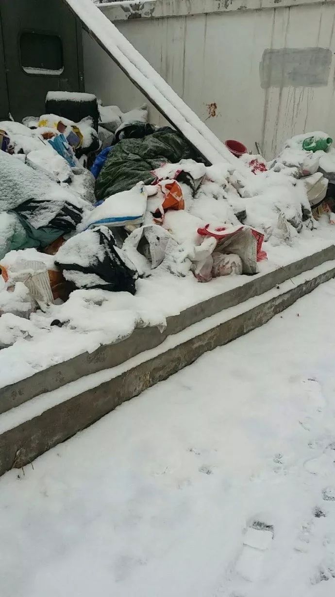 街道报警电话的天津红桥分局巡逻民警出警现场经过民警与救助站的工作