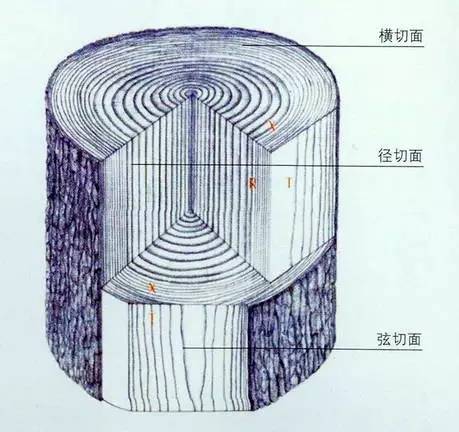 剖面图方向图片