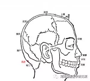 風府穴在項部,當後髮際正中直上1寸,枕外隆凸直下,兩側斜方肌之間的