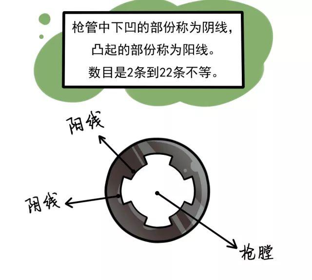 口径即膛线中两条相对阳线之间的垂直距离,更笼统一点地解释,也可以