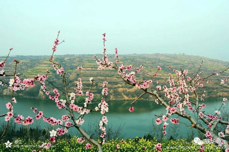 零河风景三生三世十里桃花临潼特产龙河石榴龙河石榴园摄影基地龙河沟