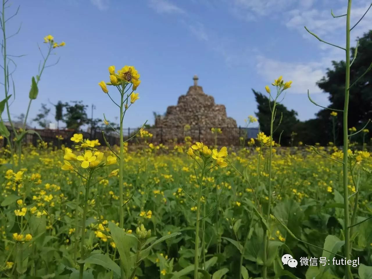 感受農家生活和鄉土氣息,沿途欣賞純樸的山村田園風光,古山重景區是