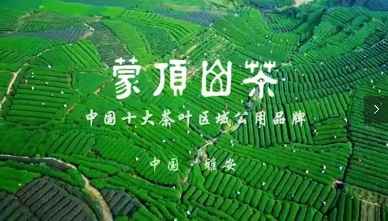 登陆央视蒙顶山茶可是蓄谋已久啊