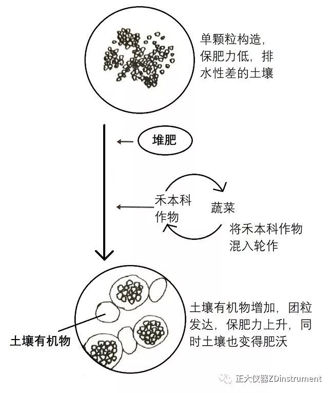 土壤的团粒结构图图片