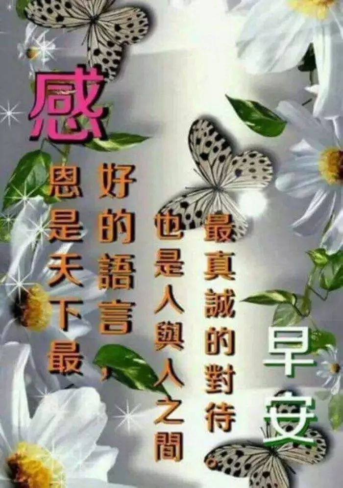 早安圖片唯美帶字