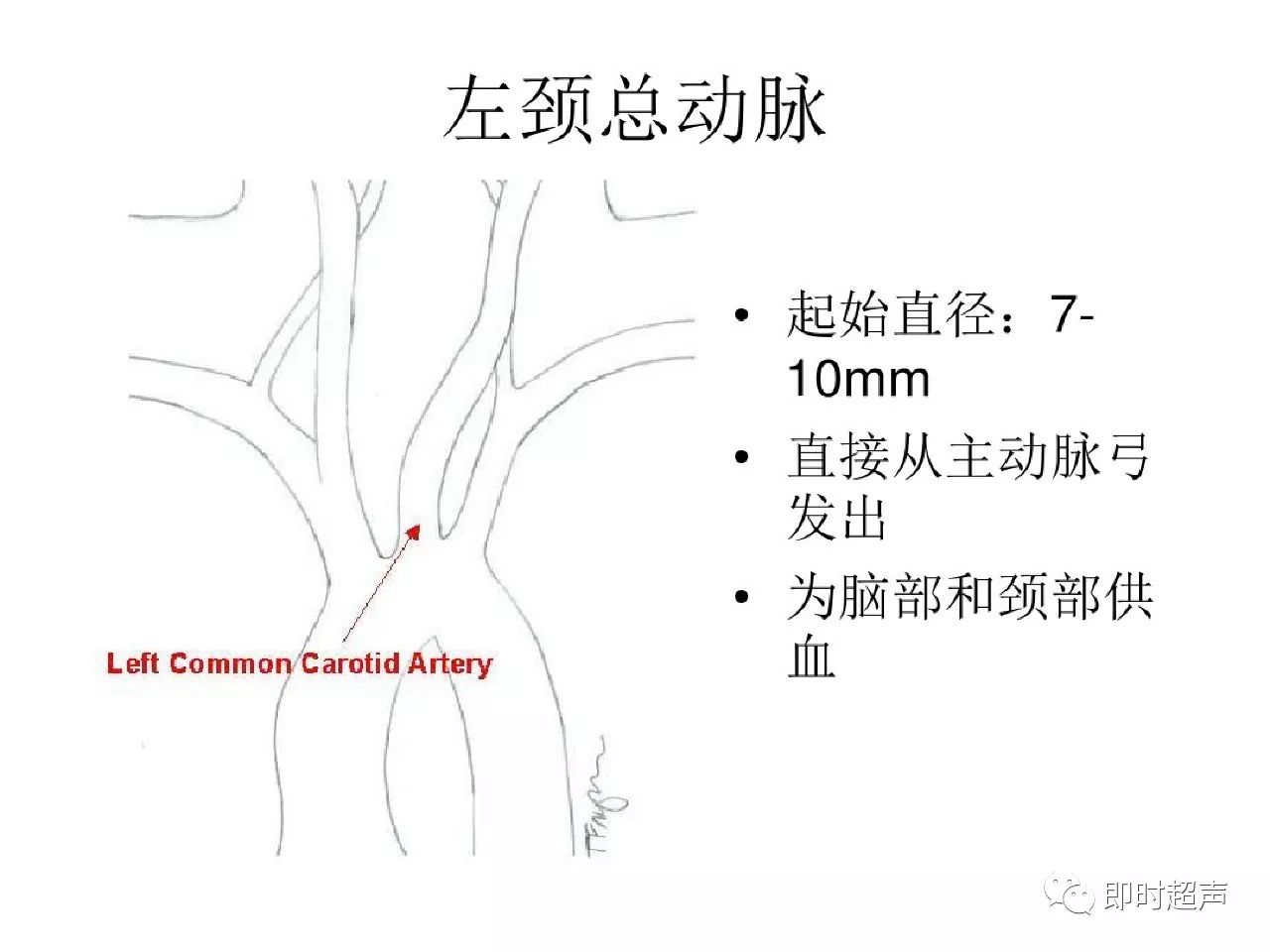 頸部血管超聲正常解剖及常見病的超聲診斷標準