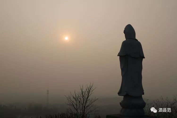 令人扼腕叹息的泗县蟠龙山文化旅游园