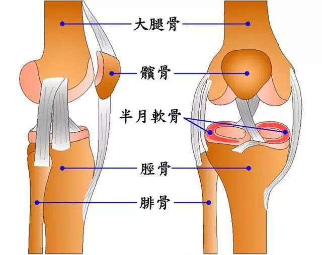 膝关节疼痛一般是什么病?