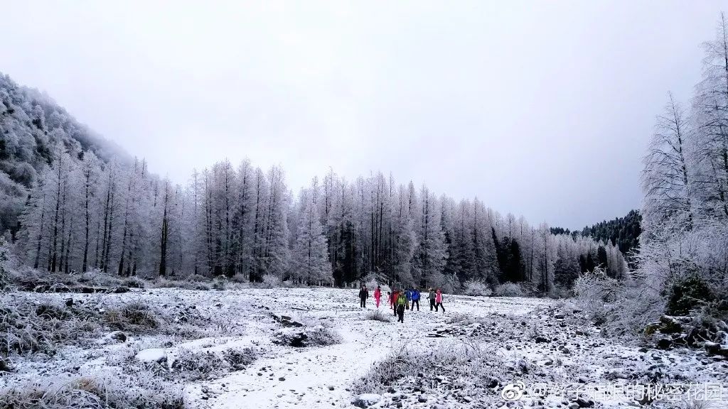 ▽▽▽崇州-雞冠山來來~近日美哭了的雪景照走一波——重點是:不要