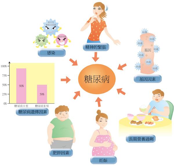 關於糖尿病的病因及發病機制,目前來說,主要與下面因素有關:糖尿病ii