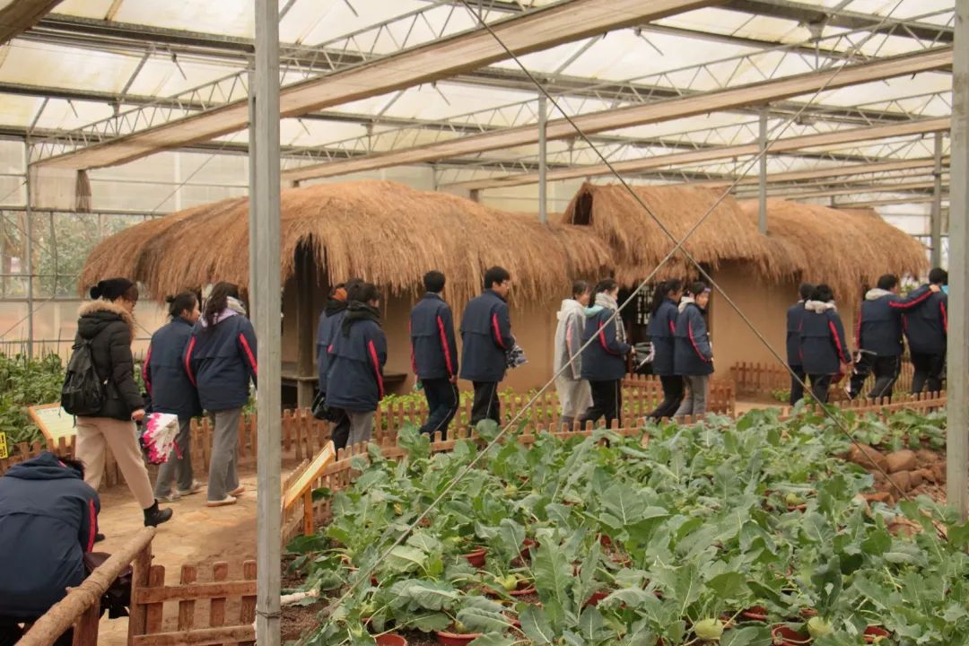 天津农学院学农基地图片