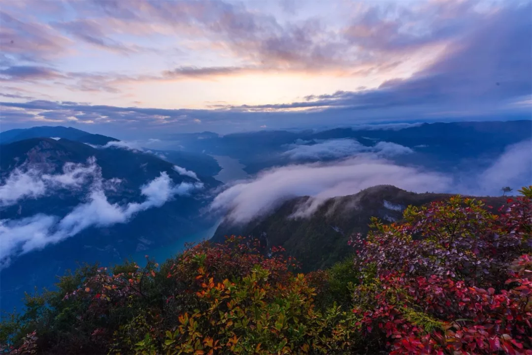 徒步危石鸟道,登临三峡之巅