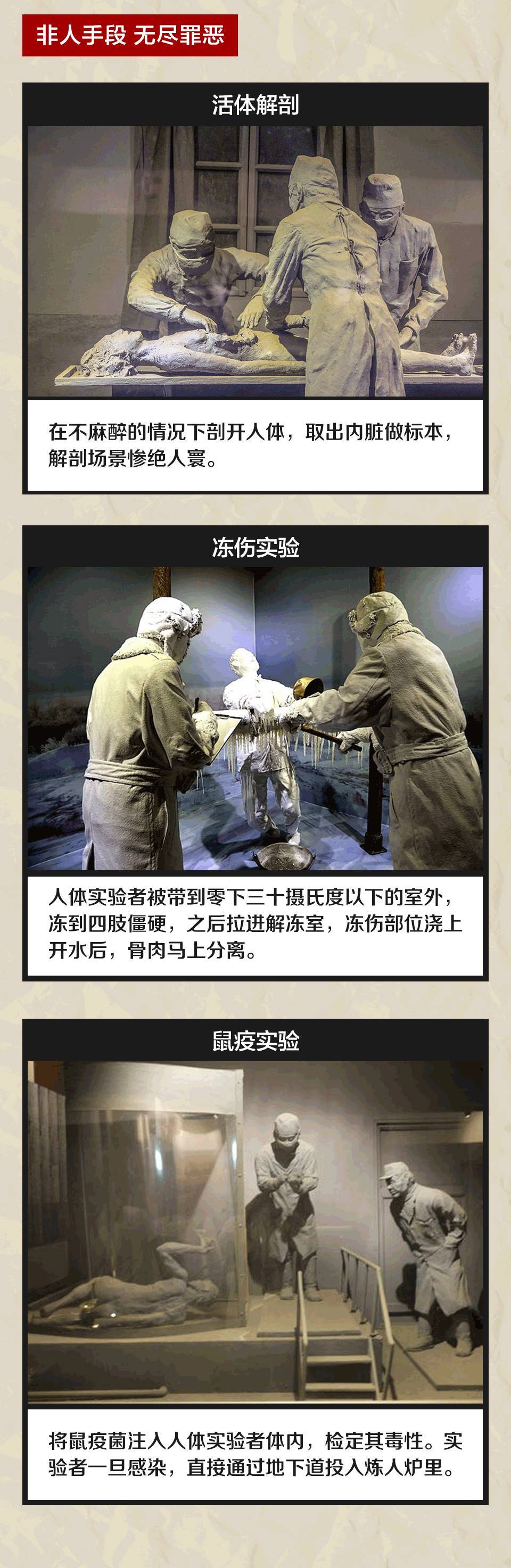 731部队解封图片图片