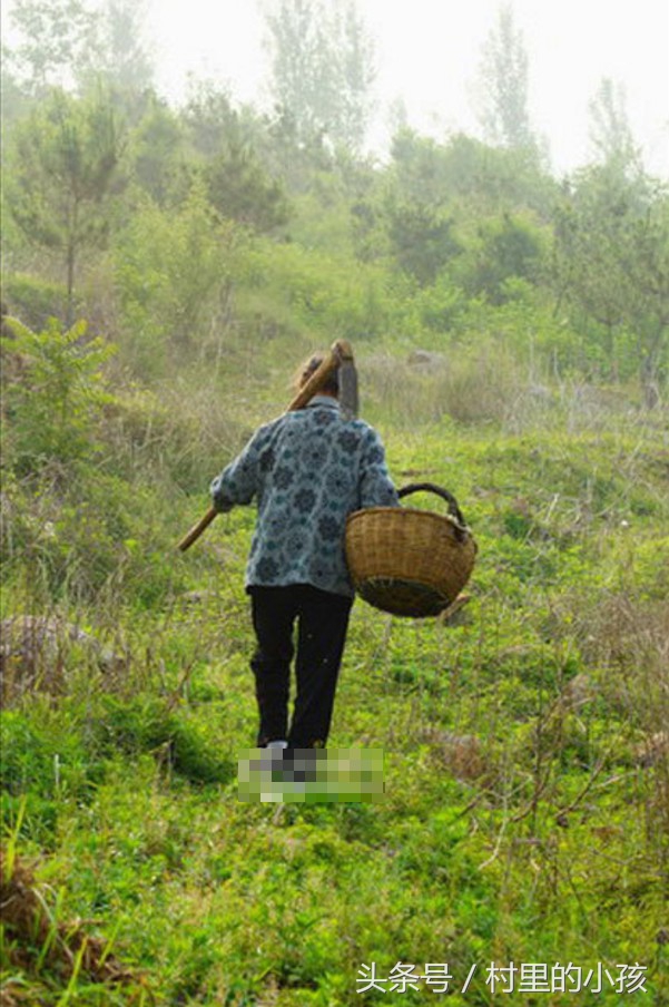89岁农村婆婆每日大山里采药换钱自食其力称不给儿女添负担