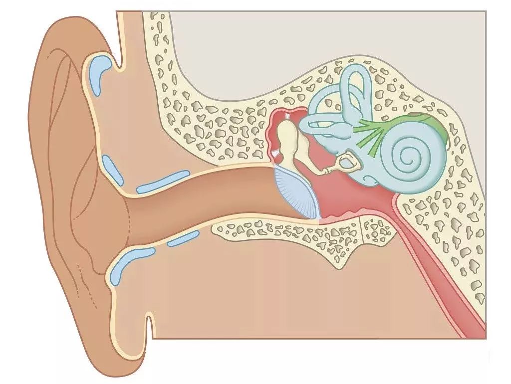 鼓膜穿孔后对听力的影响极大事事预防皆从小事起新年玩耍之时要注意