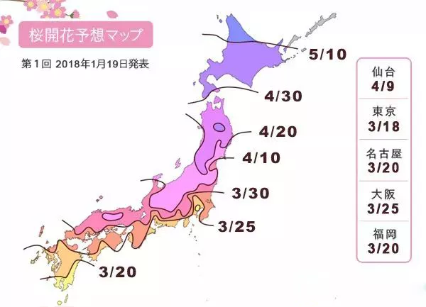 2018全日本最佳赏樱花时间,和喜欢的人一起去