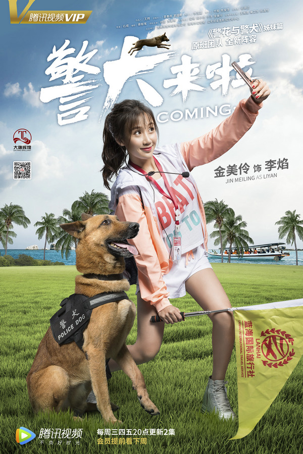 警犬来了杨蓉图片