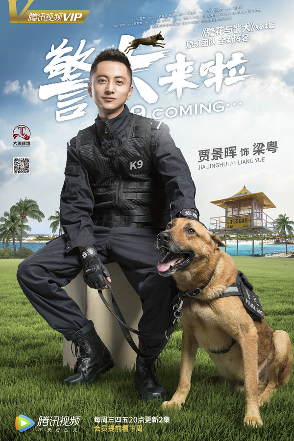 杨蓉警犬来啦图片