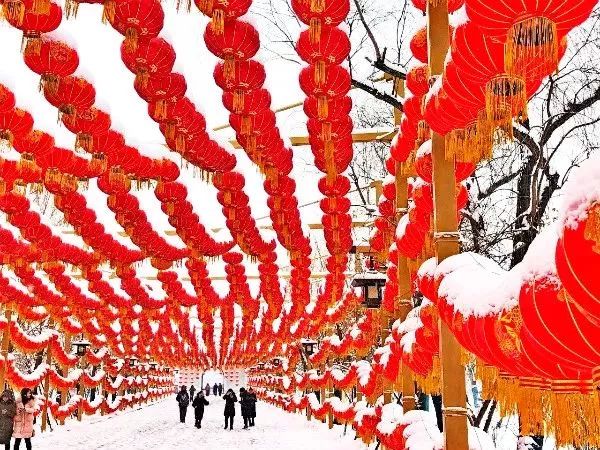 洛陽冬日龍門石窟有多美,看看雪後的龍門就知道了