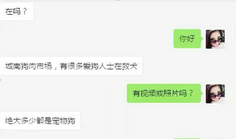 爱狗人士截图闹闹图片