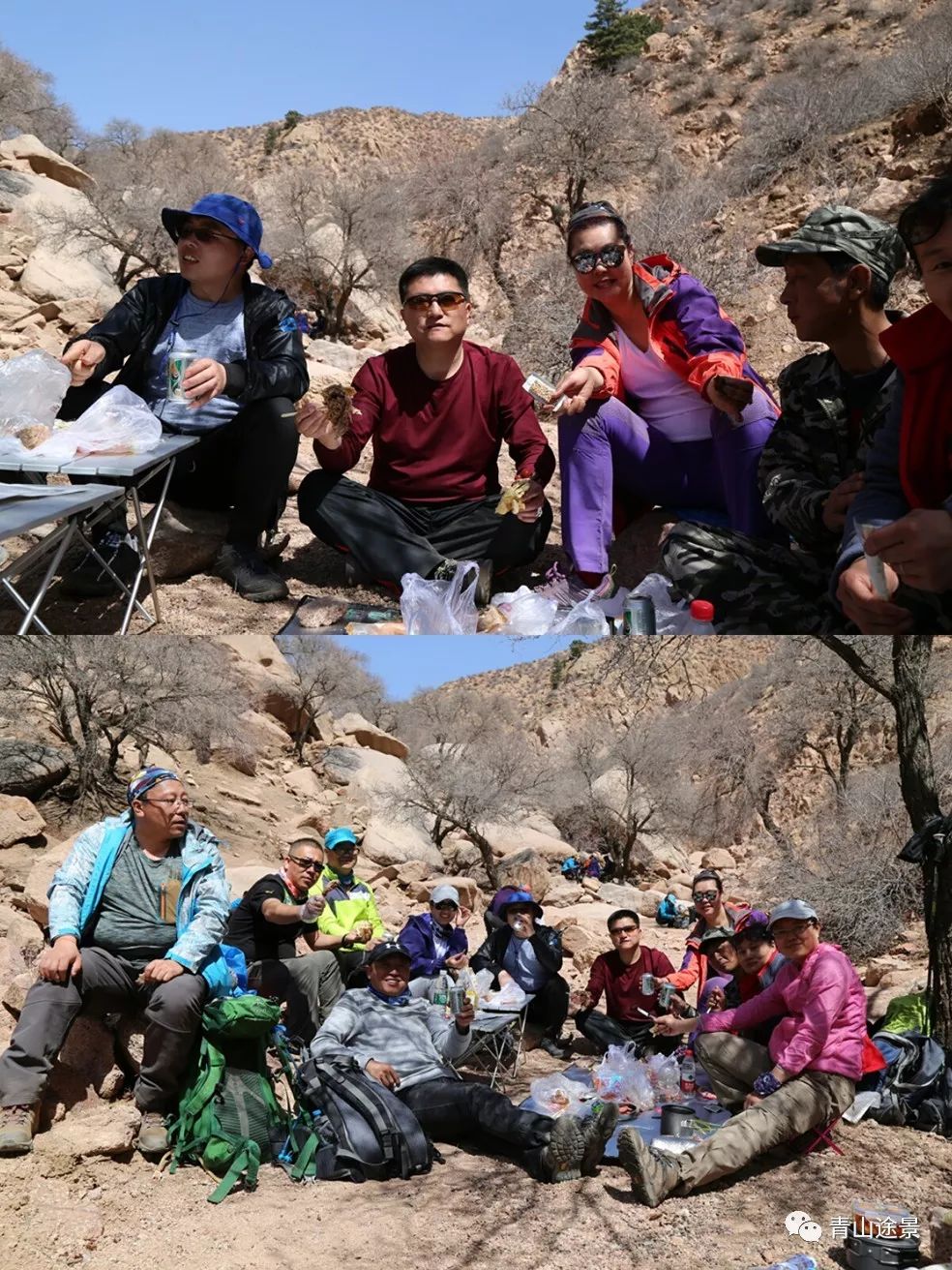 羊群作伴石柺山人在口腔牙科白應文大夫家小院做客石柺山人在溼地公園