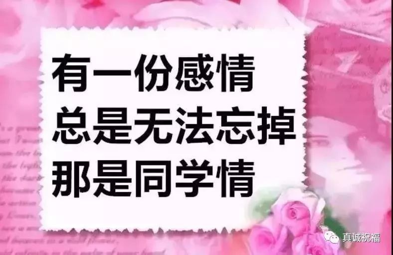 我的老同学,你是我最想感谢的人,我要谢谢你,出现在我的生命里!版权