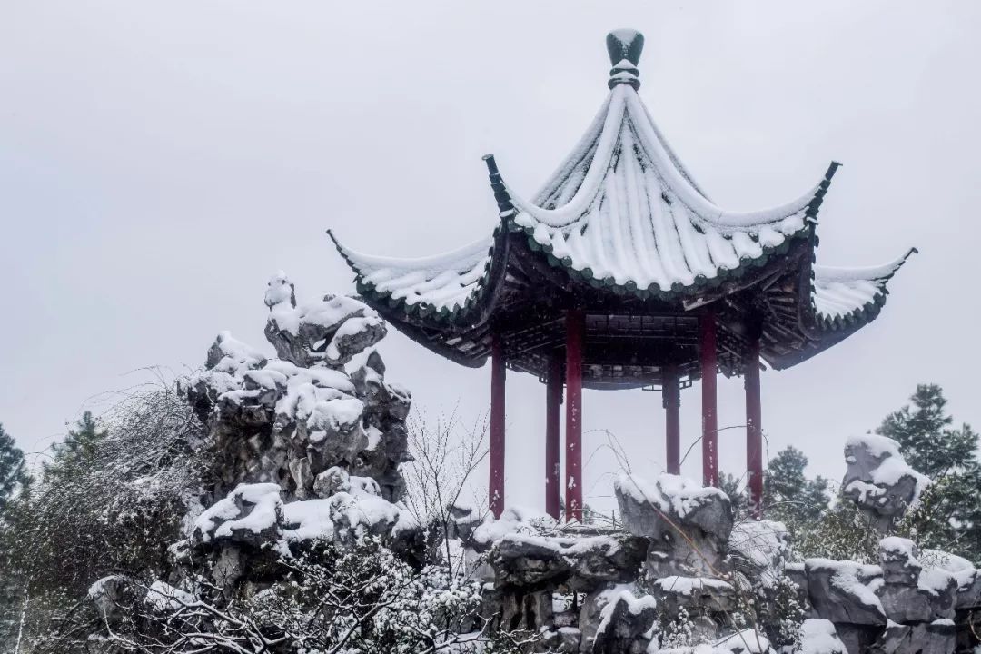 天下江南人,十年一遇的江南雪景,全部都给你!