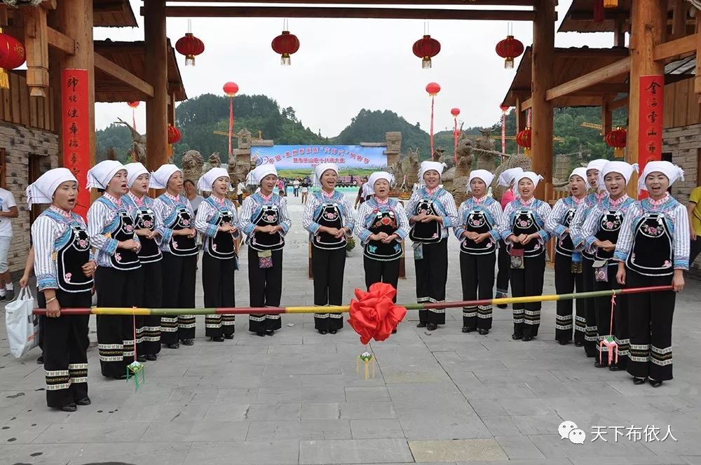 织金栽花树山歌起头歌图片