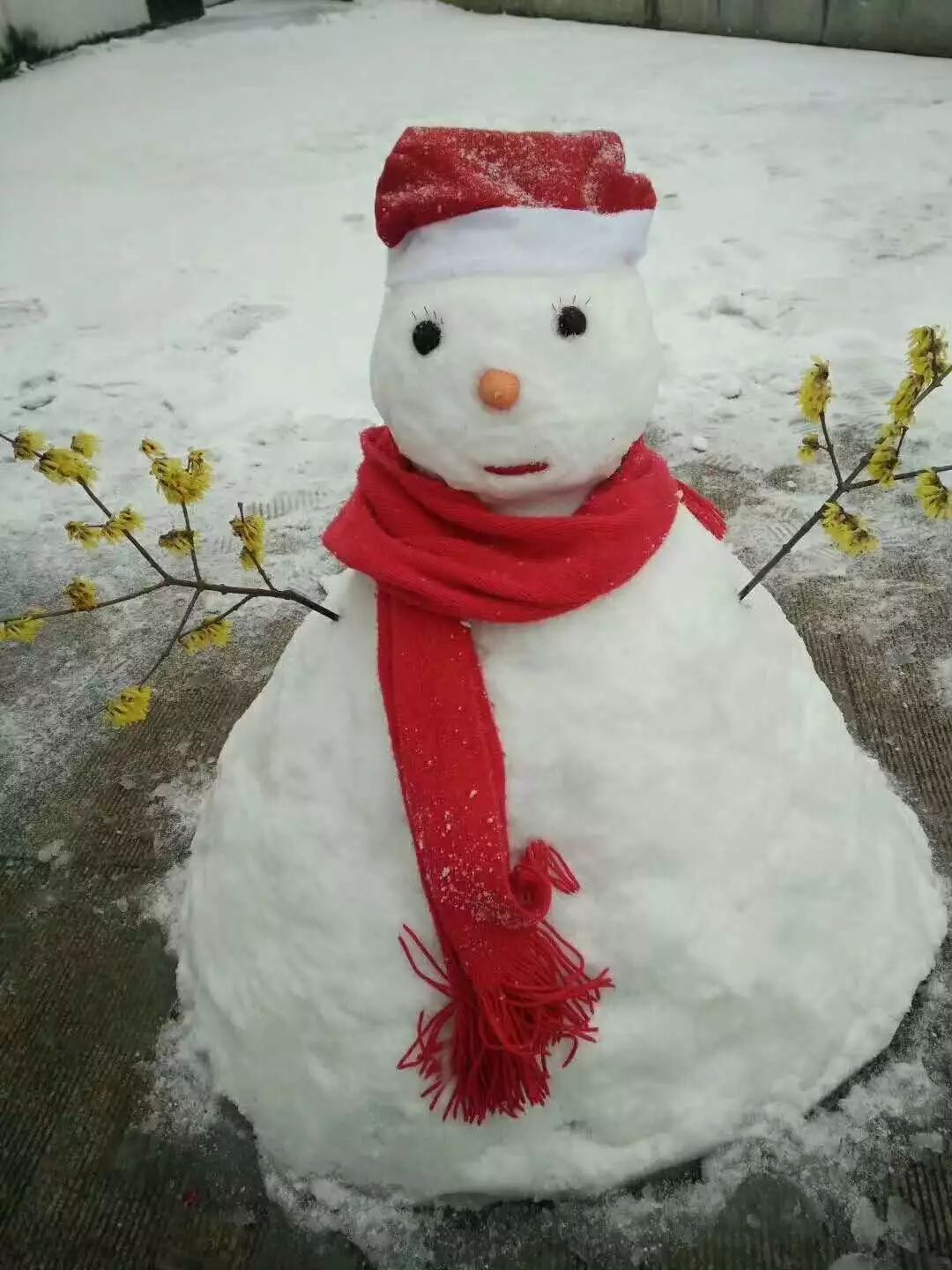 這是桐城哪個堆的雪人啊!太有才了!笑死我了!