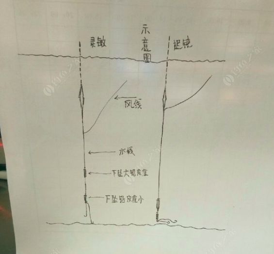 走水双铅坠钓法图解图片