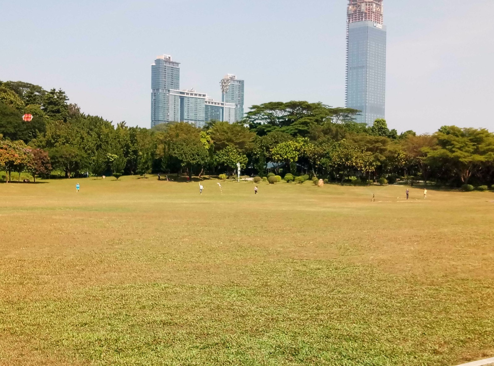 莲花山公园大草坪图片