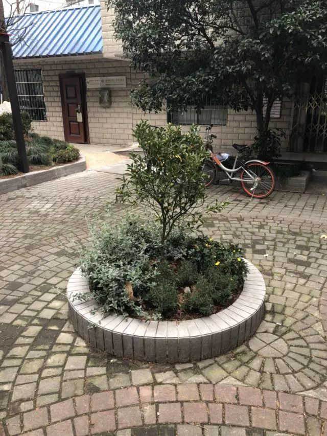 马路边花坛圆形图片