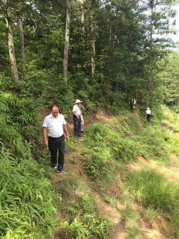 永泰大洋鄢仁云图片